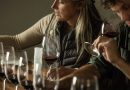 Guide to the Most Essential Wine Tasting Terms
