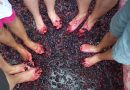 The purpose of the winemaker crushing the grapes with his feet?