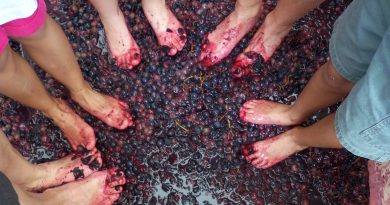 The purpose of the winemaker crushing the grapes with his feet?